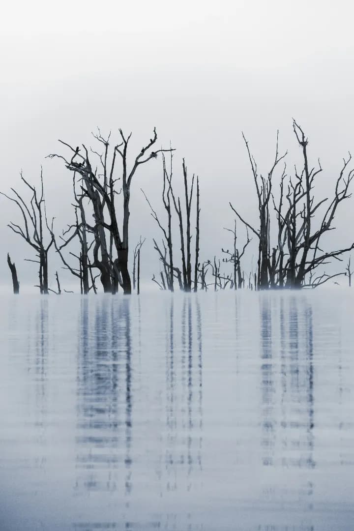 Early morning mist over the Kabini backwaters reservoir at Kabini Kaanana homestay