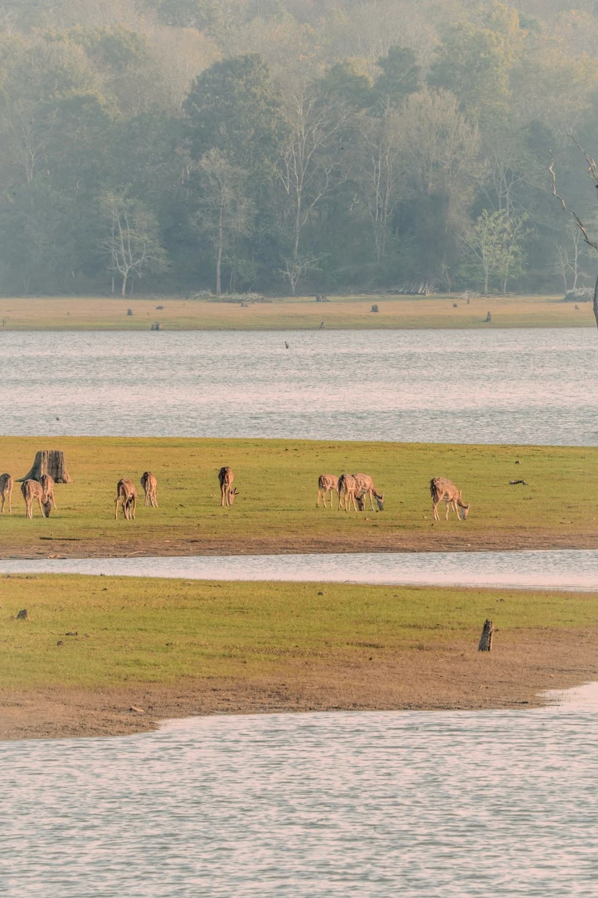 Nature walk along the Kabini backwaters trail — guided walks available for guests