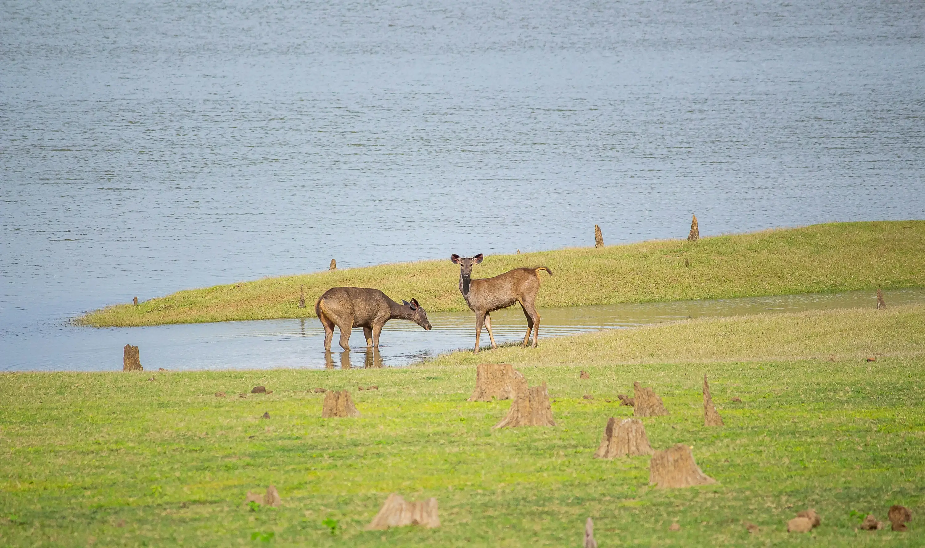 Kabini Kaanana Backwaters